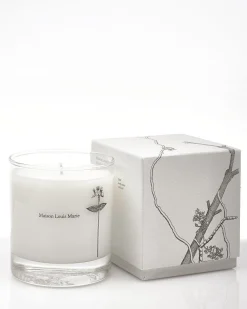 Antidris Candle (Cassis)