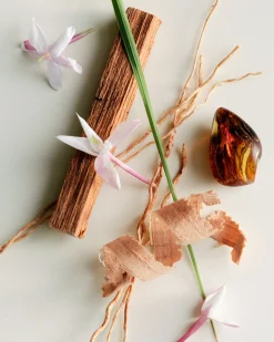 Body Lotion REFILL (No. 04 Bois De Balincourt)