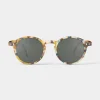 #D Blue Tortoise Sunnies (5-10 Years)
