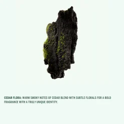 Deodorant Spray (Cedar Flora)