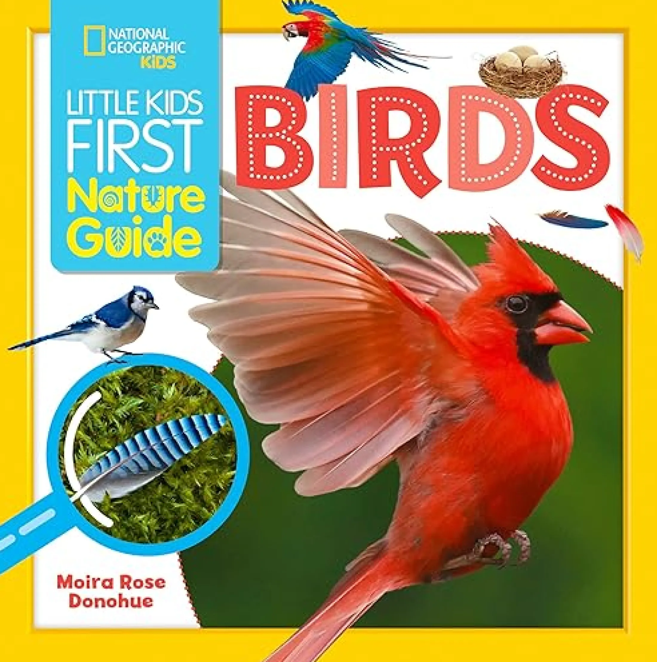 Little Kids First Nature Guide (Birds)