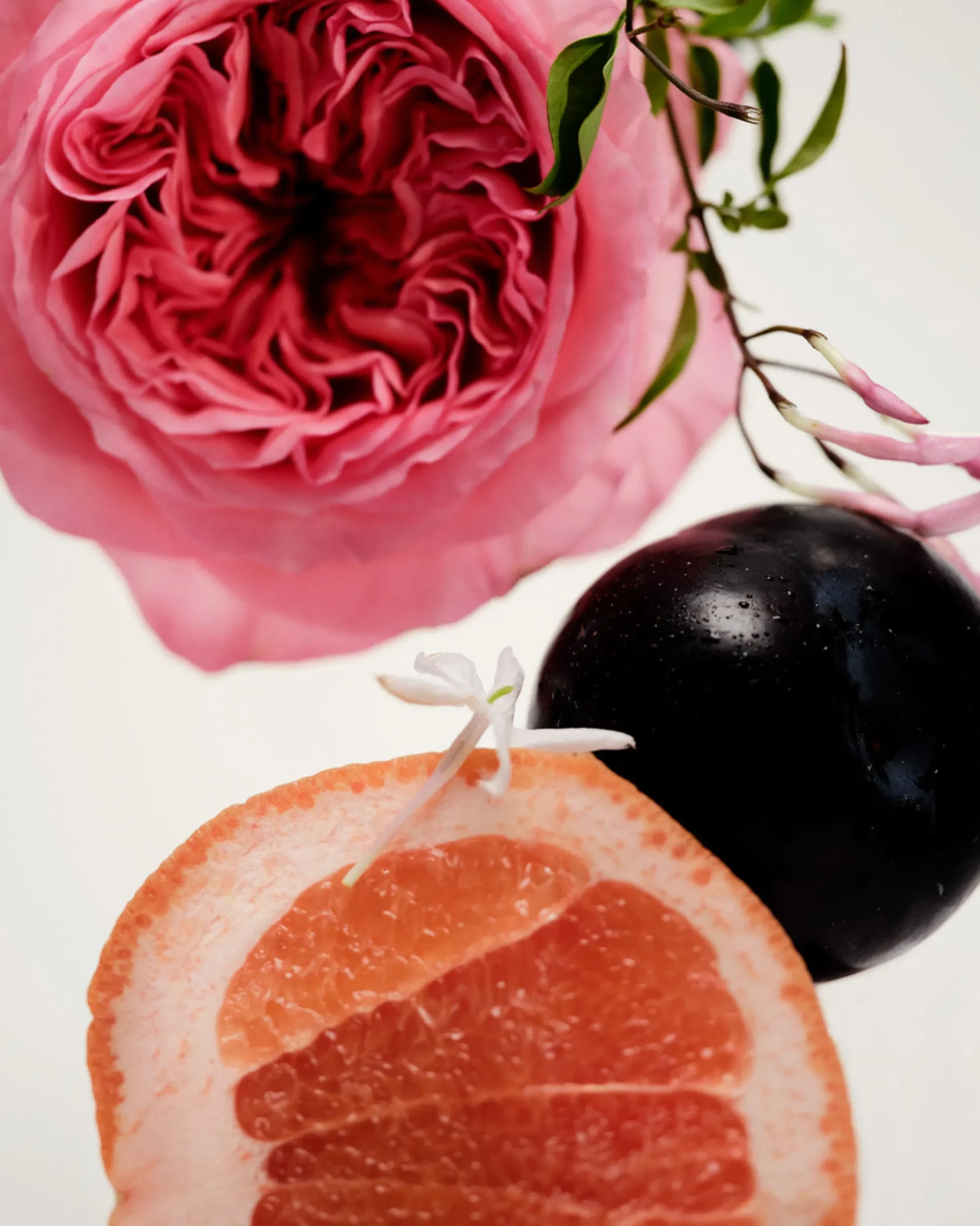 Oil Diffuser (No. 14 Icila)