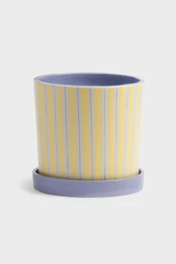 Ray Planter (Yellow)