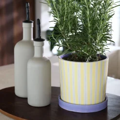 Ray Planter (Yellow)