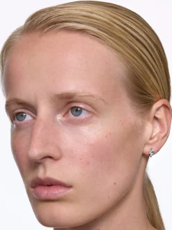 Small Silver Arctic Studs