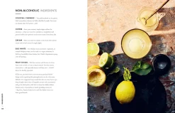 The Cocktail Edit: Everything You Need to Know About How to Make All the Drinks that Matter